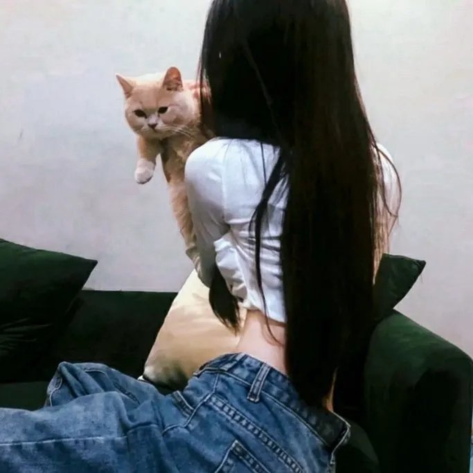 森林